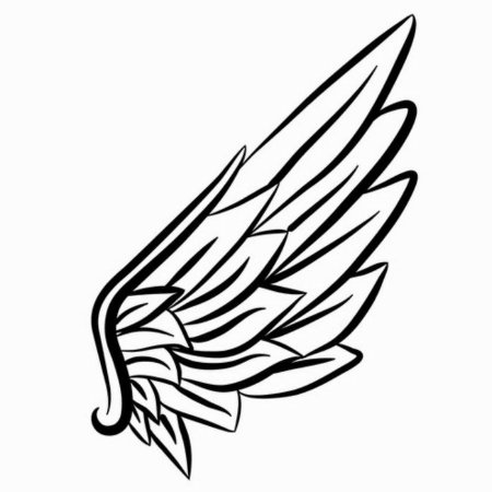 Крылья эскиз