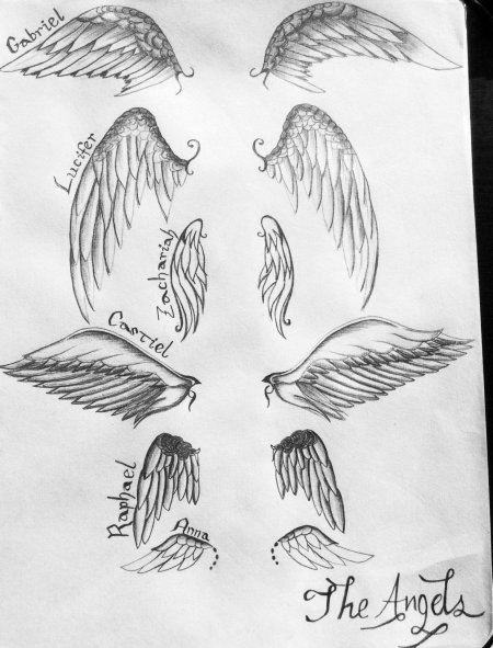 Крылья зарисовка