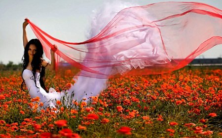 Фотосессия в маковом поле