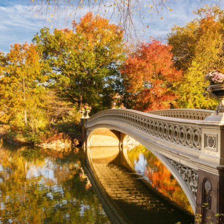 Нью йорк центральный парк