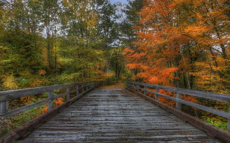 Осенний пейзаж с мостом