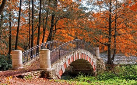 Павловский парк санкт-петербург осень