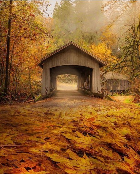 Осенний крытый мост