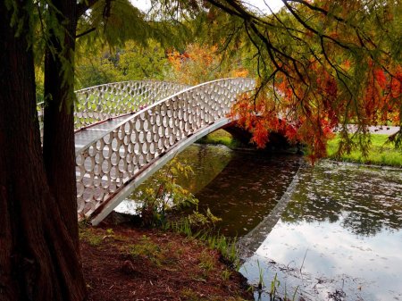 Осень парк река мост