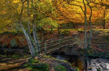 Река осень мостик