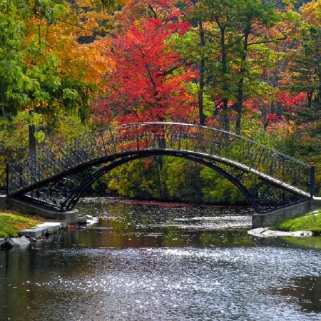 Центральный парк нью-йорк мостик