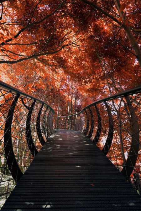 Осенний мост