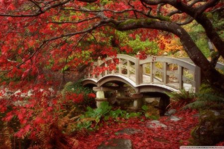 Осенние пейзажи