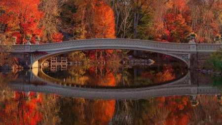Готический мост в центральном парке нью-йорка