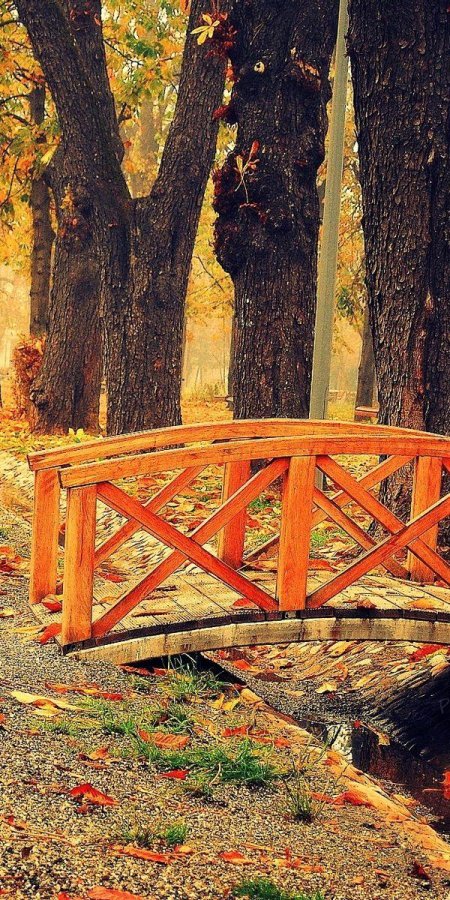 Осенний мост