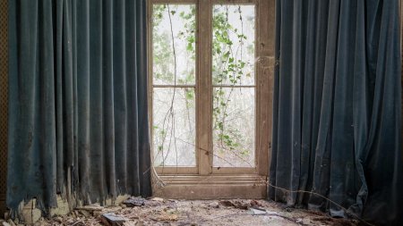 Старые шторы