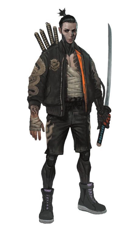 Уличный самурай shadowrun