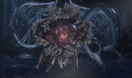 Ибраитас дочь космоса