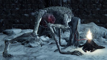 Кровопийца бладборн