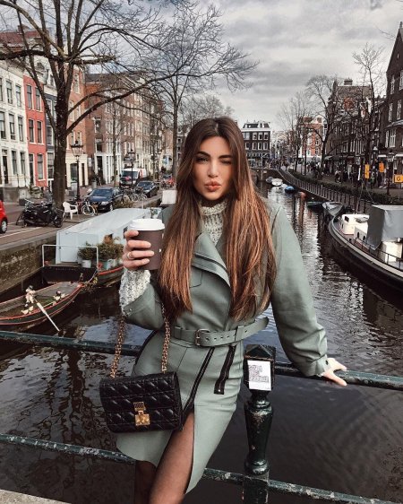 Негин мирсалехи