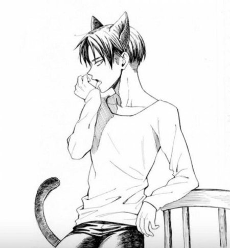 Кошкомальчик леви