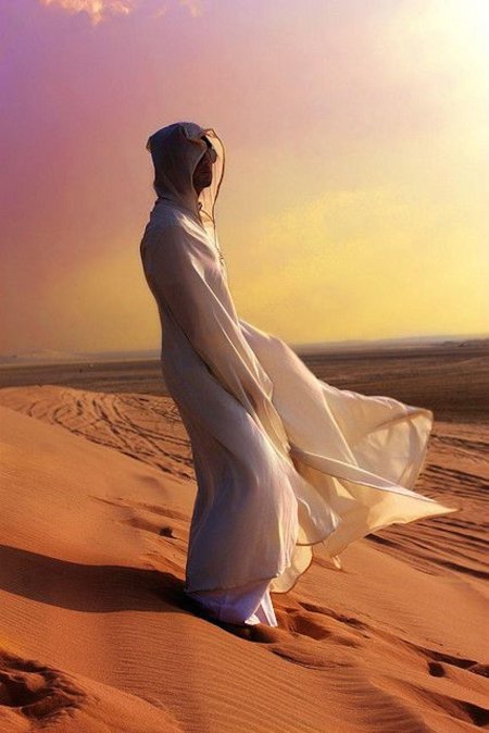 Аравийская пустыня египет