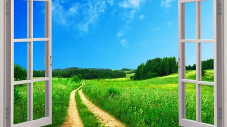 Окно с видом на природу