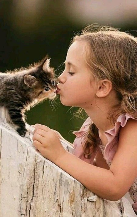Девочка с котенком