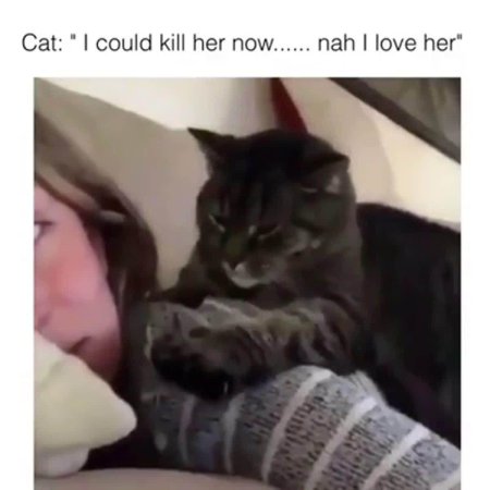 Кот обнимает хозяйку