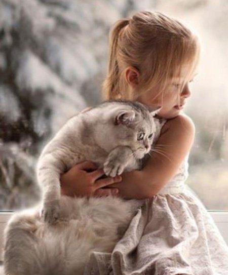 Дети и животные