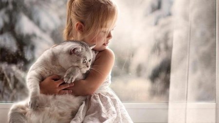 Елена шумилова