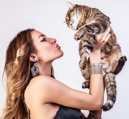 Фотосессия с кошкой