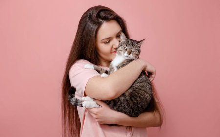 Кошка девушка