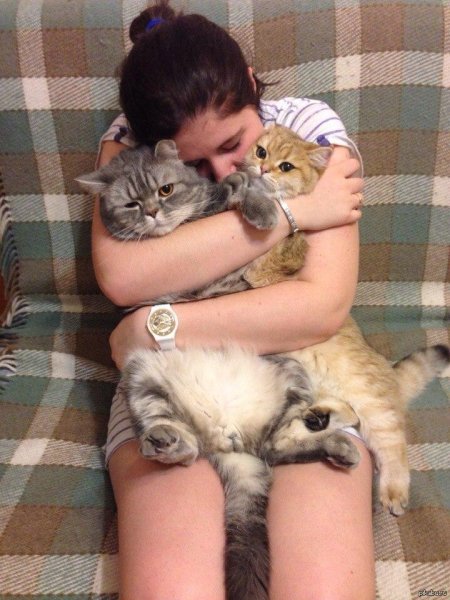 Тискать кошку