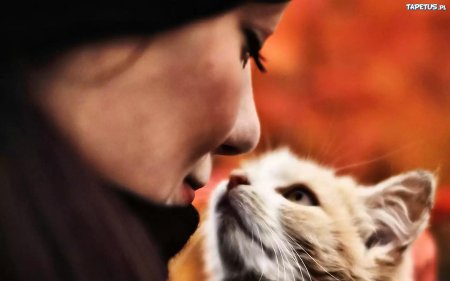 Девушка с котенком