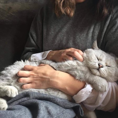 С котом на руках