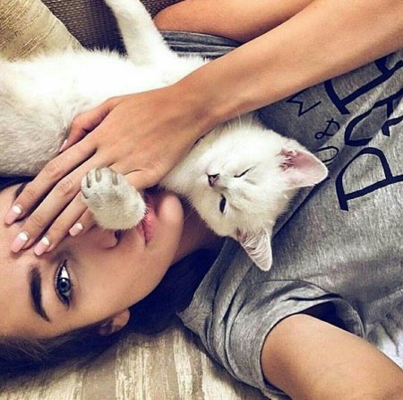 Кошка девушка