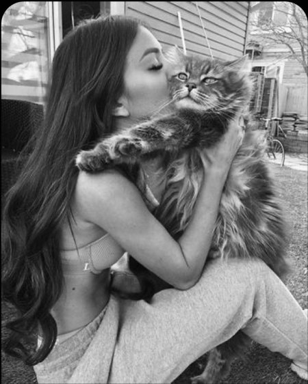 Кот девушка