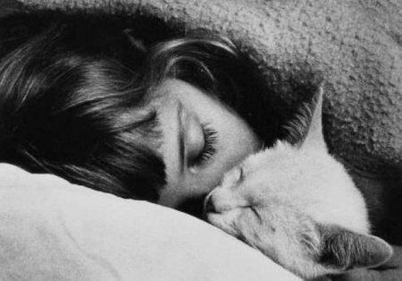 Девушка спит с котом