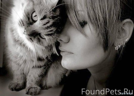 Девочка гладит кота