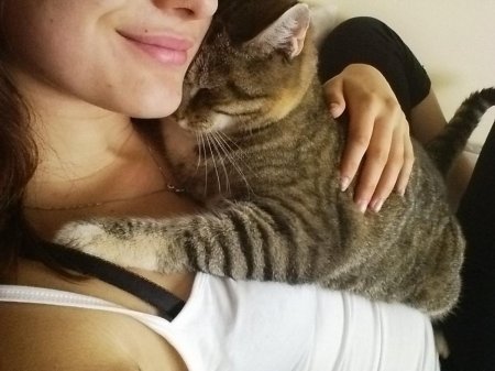 Кот девушка