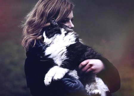 Девушка кот