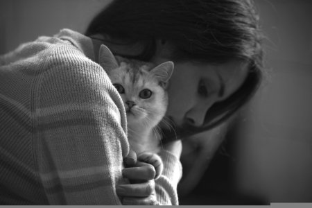 Кошка девушка