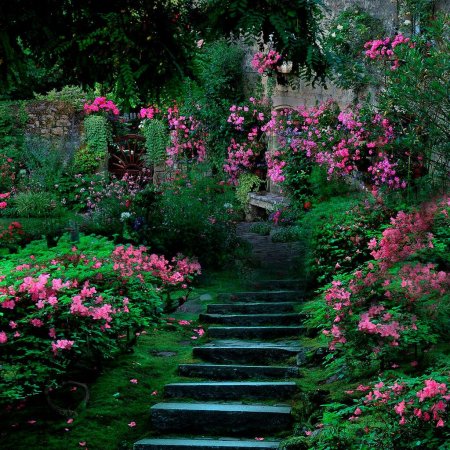 Красивые сады