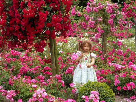 В розовом саду