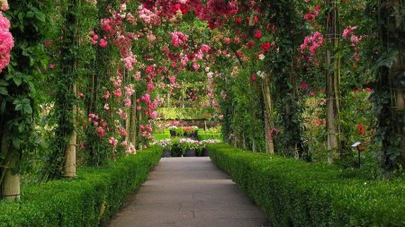 Walk but in a garden