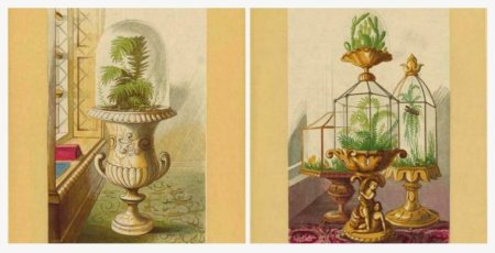 Аквариум викторианской эпохи