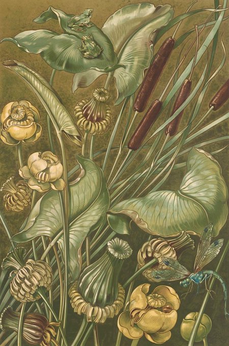 Иллюстрации антон седер