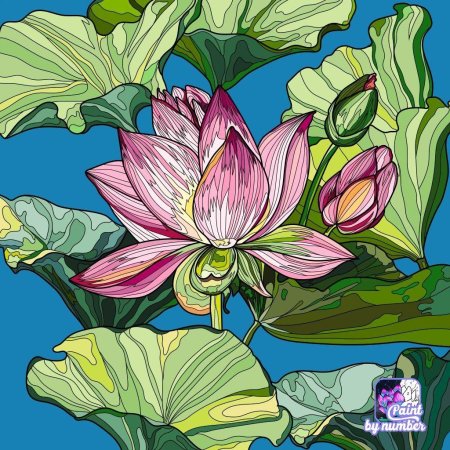 Рисунки лотоса