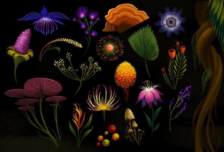 Кэти скотт ботаникум