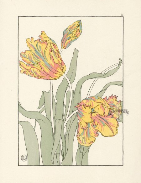 Альбрехт дюрер ботанические иллюстрации