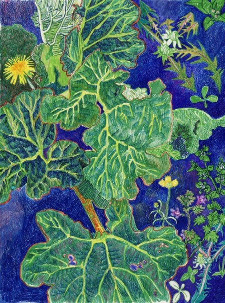 Цветочные картины