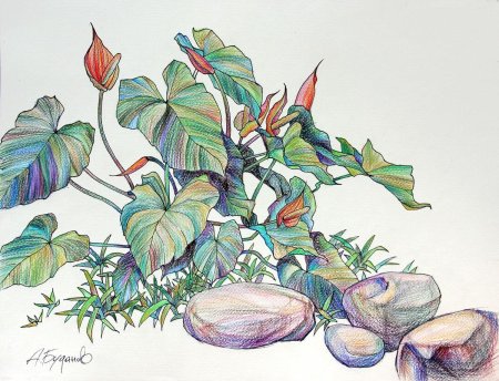 Ботанический скетч линером