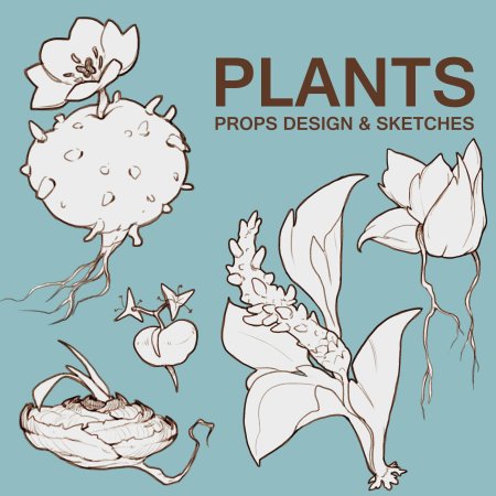 Plant sketches