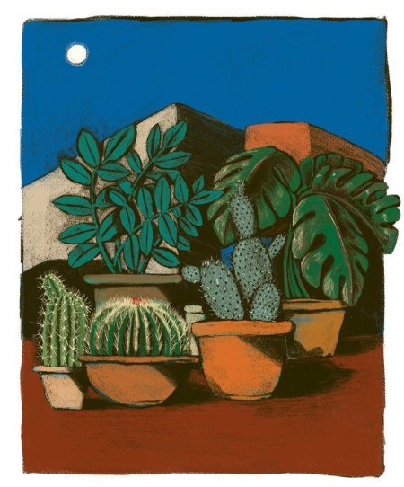 Картина кактус